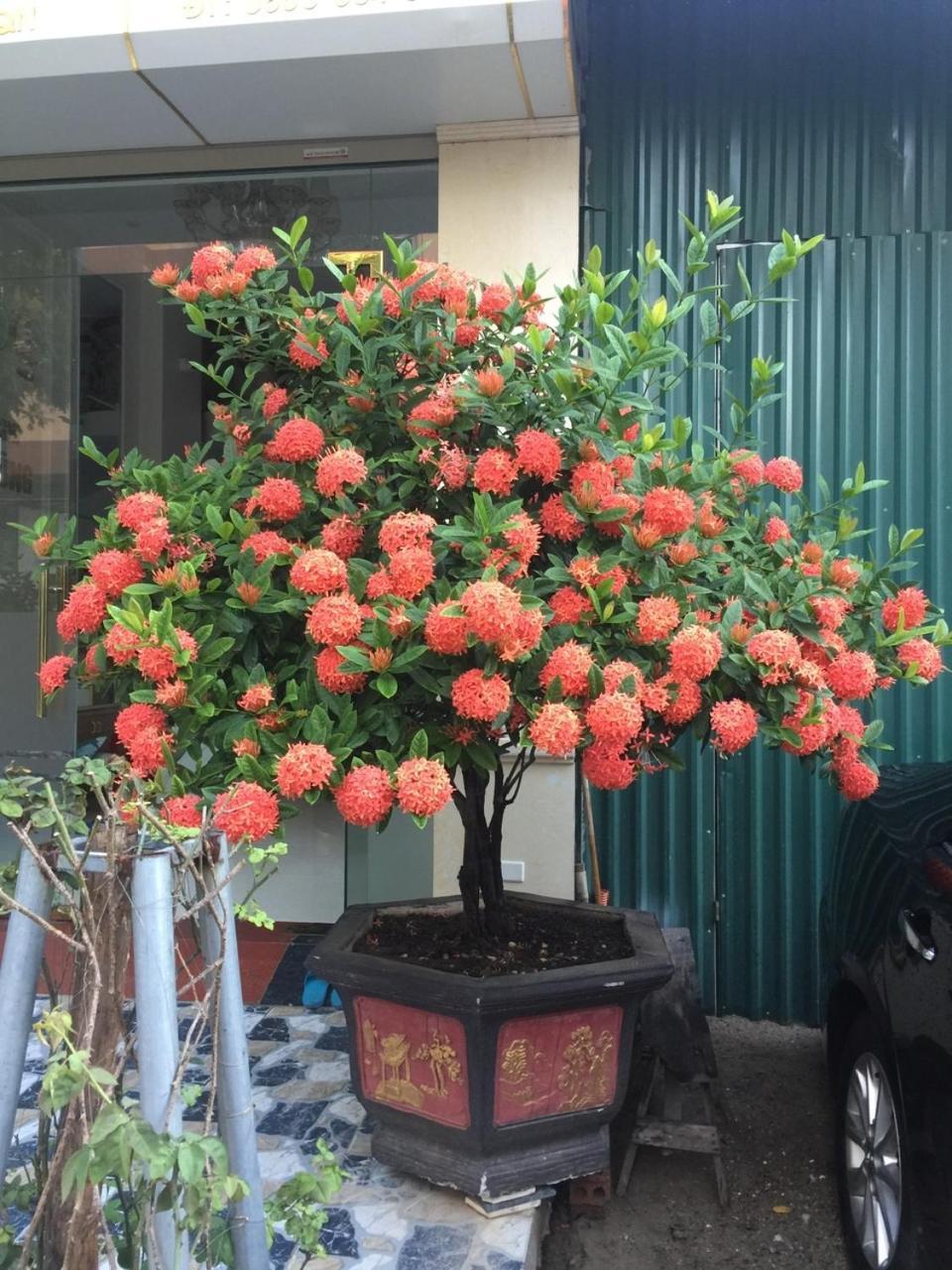 Nha Nghi Anh Dung Bed & Breakfast ฮาลอง ภายนอก รูปภาพ