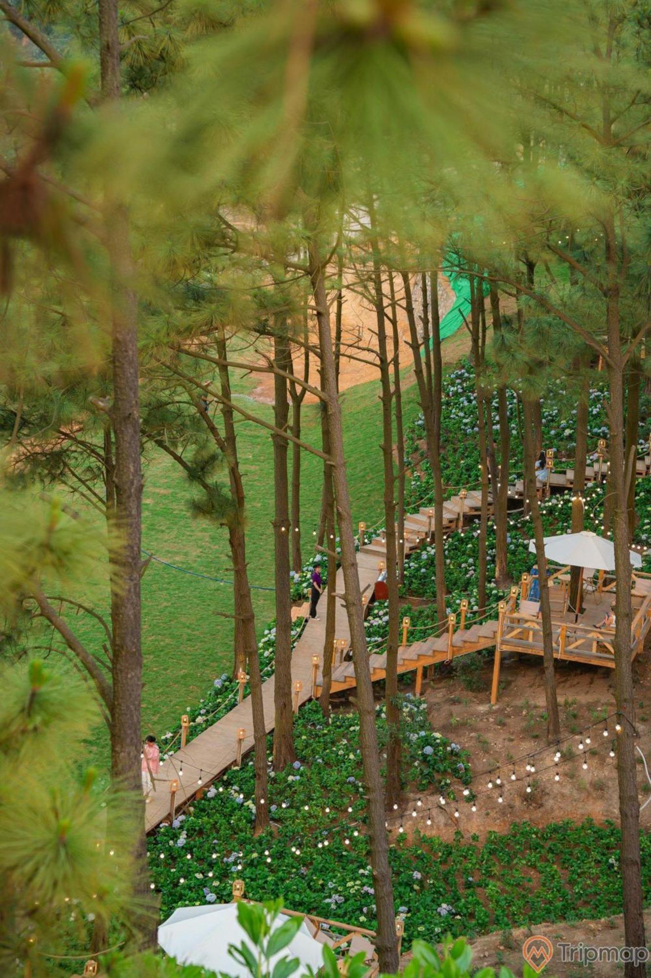 Nha Nghi Anh Dung Bed & Breakfast ฮาลอง ภายนอก รูปภาพ