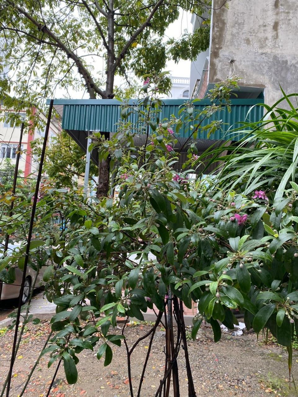 Nha Nghi Anh Dung Bed & Breakfast ฮาลอง ภายนอก รูปภาพ